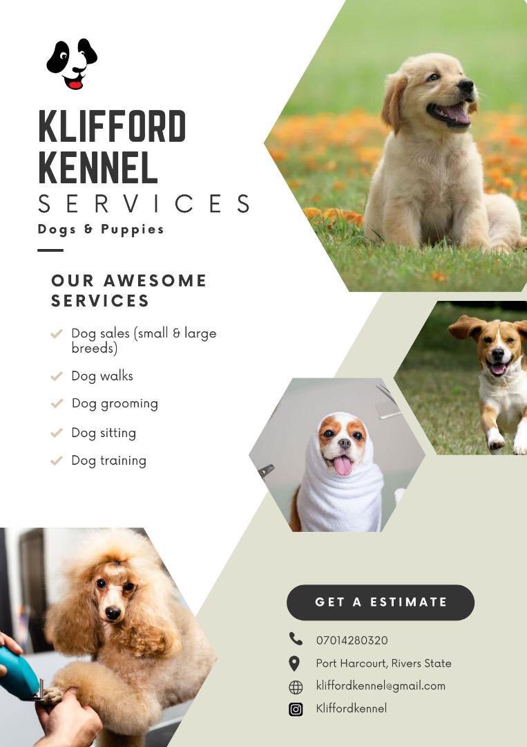 biggtzar's tweet image. If you are looking for some amazing puppies available for sale! I have cute puppies all ready to find their perfect home and are nurtured. Don&apos;t pass up the opportunity to bring a new animal companion into your life! 🐾  kindly retweet #PuppyLove #DogSale