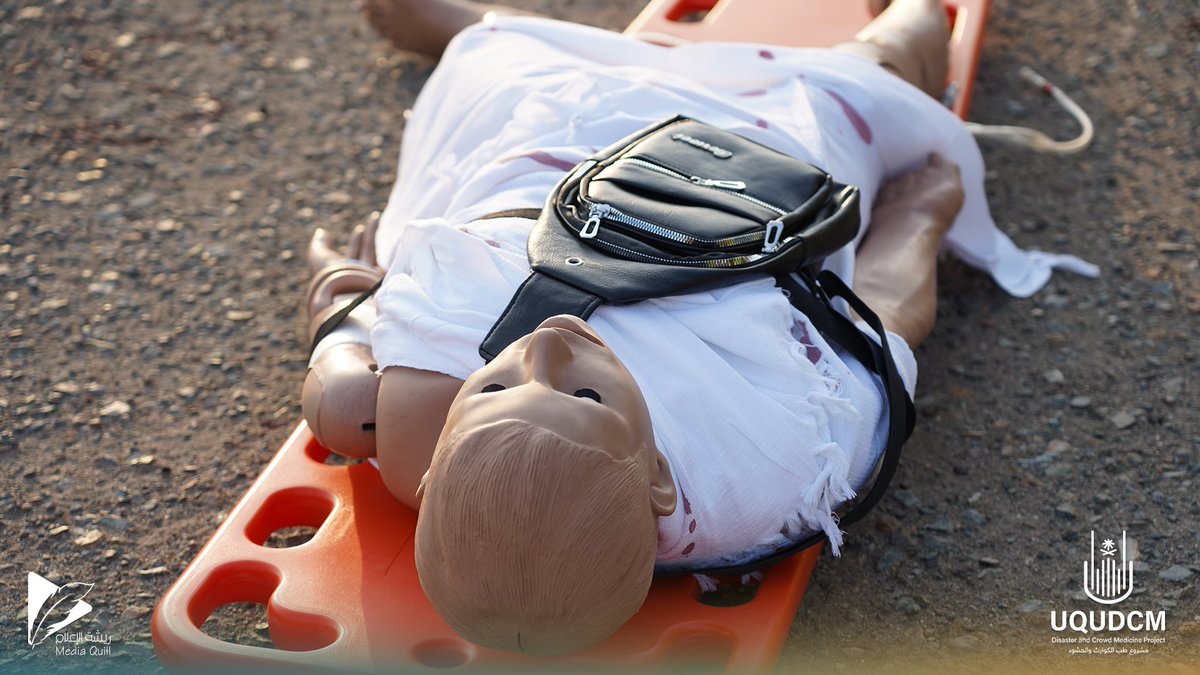 Disaster and Crowd Medicine Project tweet media