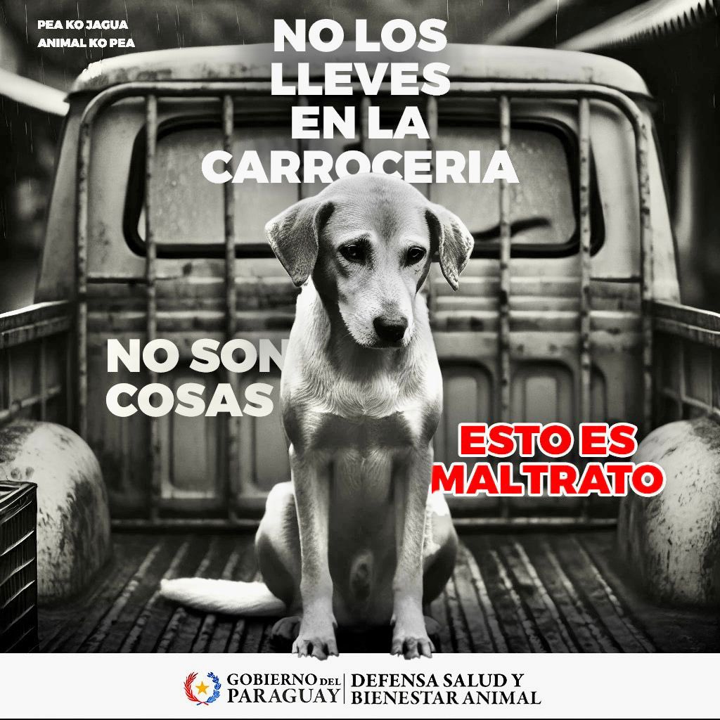 🚫 ¡Transportar animales sin las medidas de seguridad adecuada en la carrocería es maltrato! 🚫