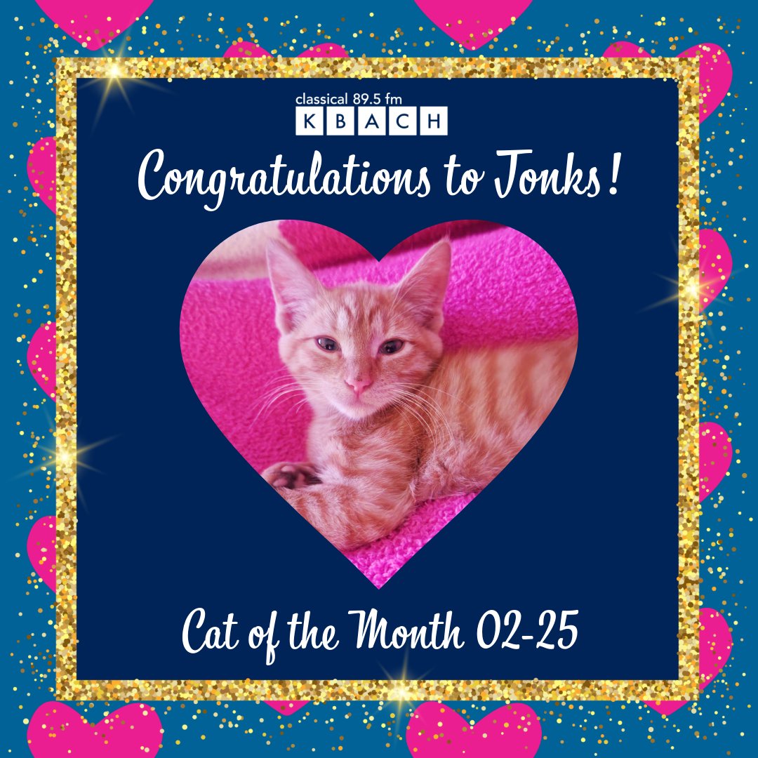 💖 Charming, bold, and impossible to resist—meet Tonks, our February Cat! 💖 Rescued in a box, this little heart-stealer was destined to be featured on Valentine's Week. 😻✨