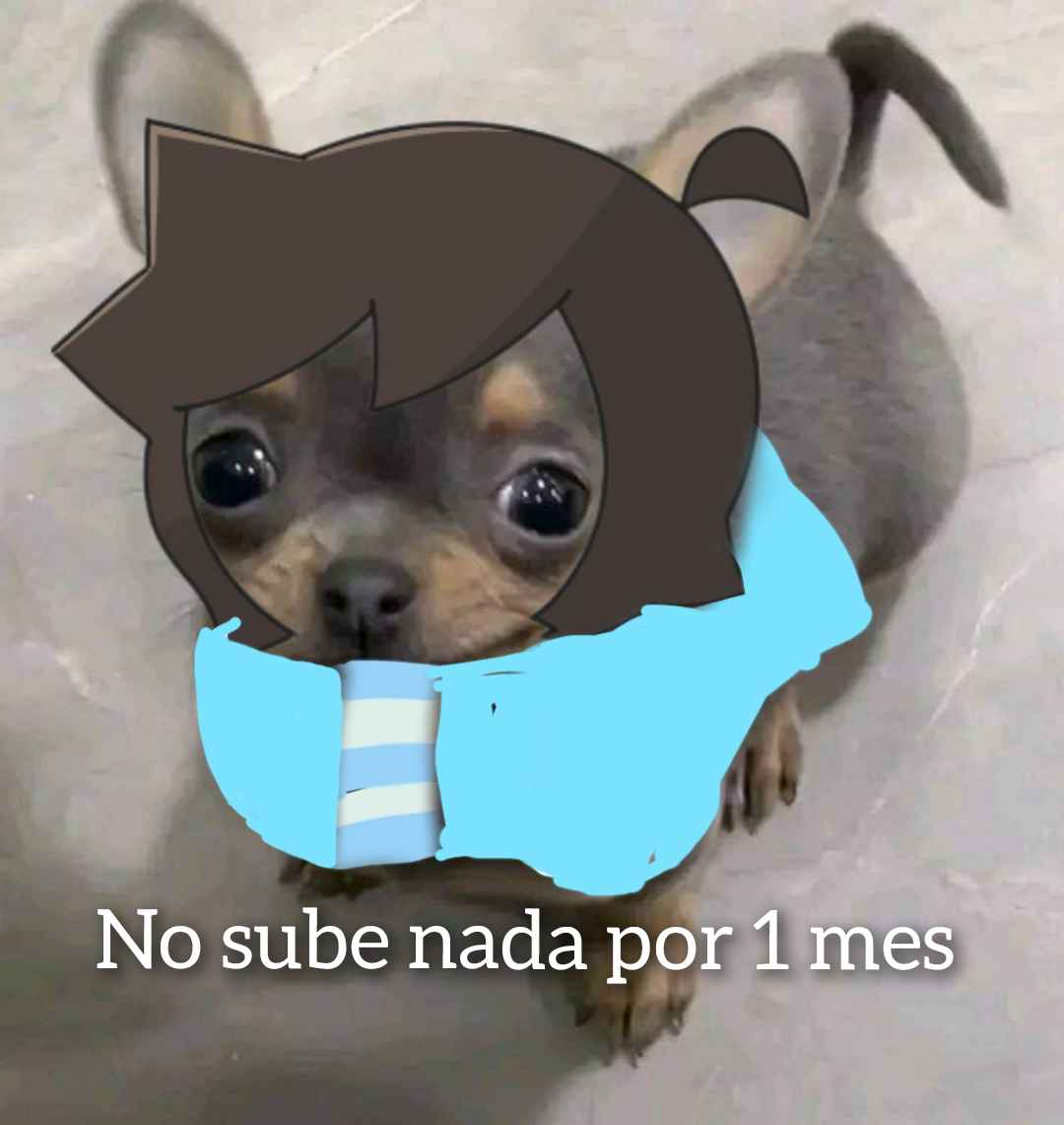 Por favor, nada de guerras de plataformas de streaming en los comentarios.  : r/memes, image size:1080x1141