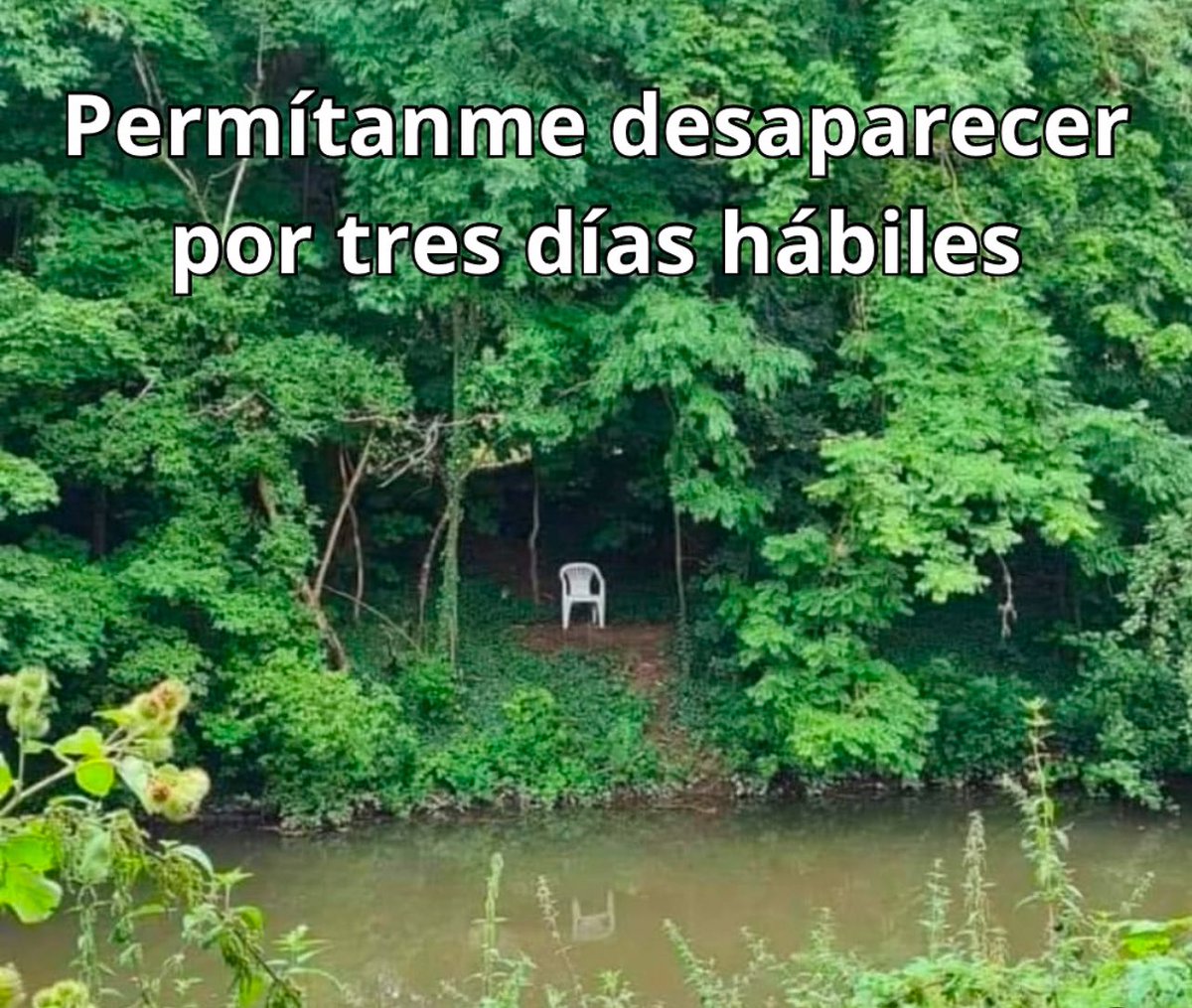 conoloracigarro's tweet photo. https://t.co/lzoBHWAUNw