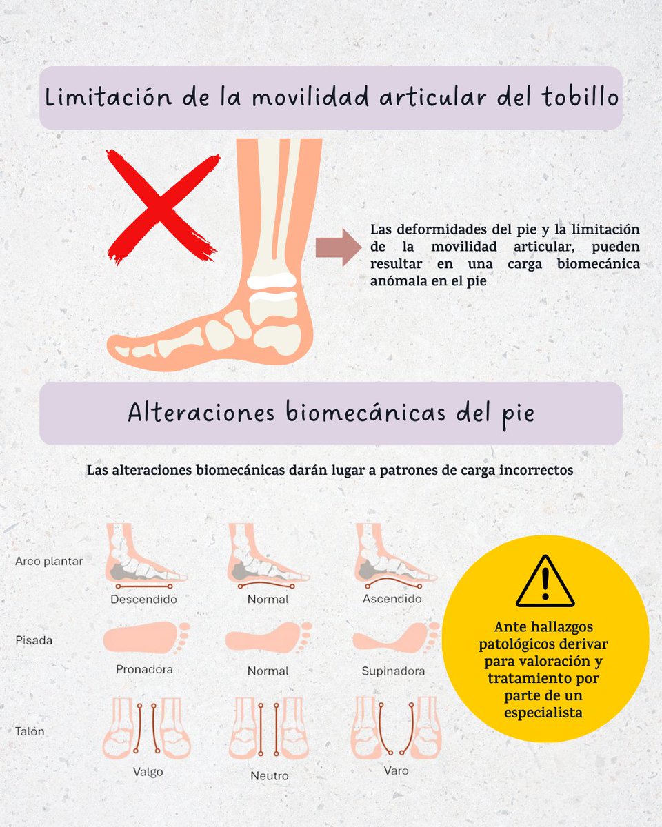 ¿Conocías la importancia de la inspección del pie?🦶🏻

✔️Es imprescindible para determinar las áreas de mayor riesgo en los pacientes #diabéticos ⚠️

ℹ️ A continuación, te facilitamos toda la información que necesitas saber para llevar a cabo esta práctica 🔎

🚨 Y RECUERDA: ante