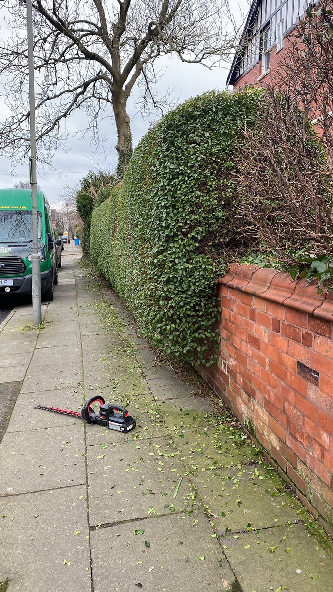 Karl Fischer tweet media