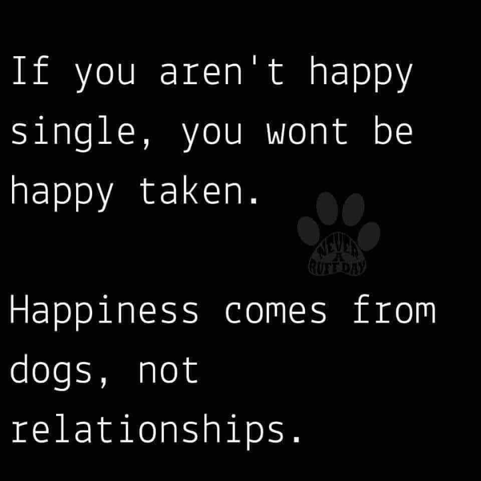 OscarWinning's tweet image. Don&apos;t fall for the pink and red propaganda: dogs are the real valentine here :D #pethumor #lifewithdogs #behaviorthatwinsrewards