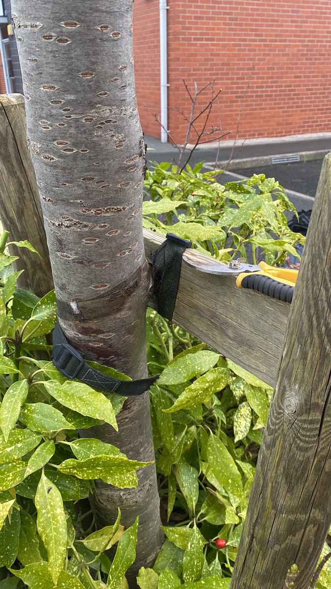 Karl Fischer tweet media