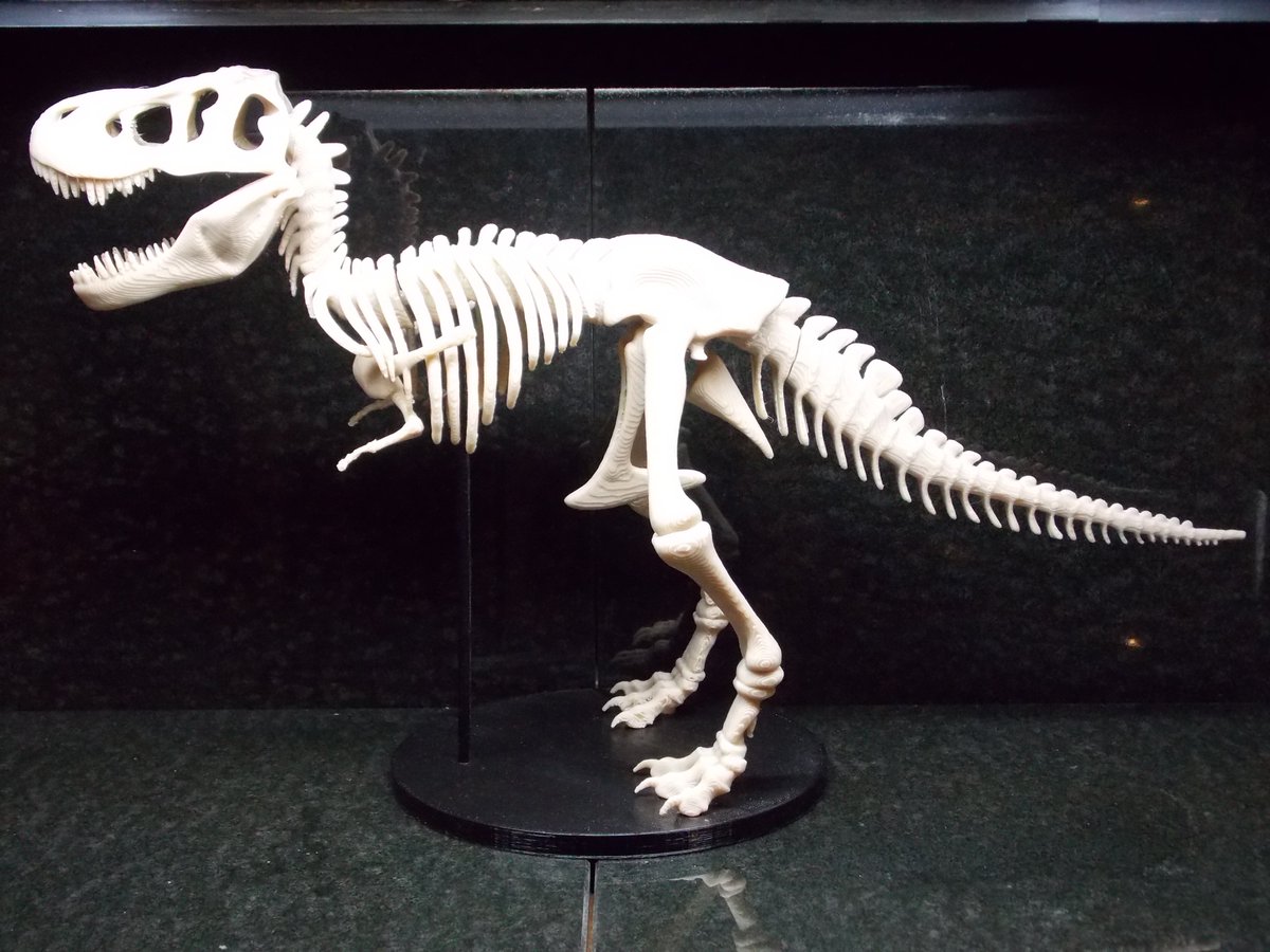 3DPrintWizard's tweet image. Tyrannosaurus Rex skeleton 3D printed etsy.me/40R475W via @Etsy