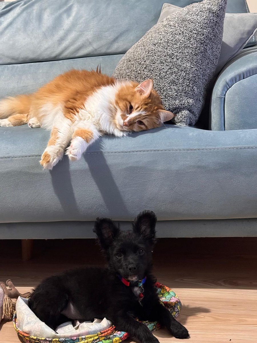 Tek derdi siz olanların derdi bitmesin #YasayıİptalEtAYM