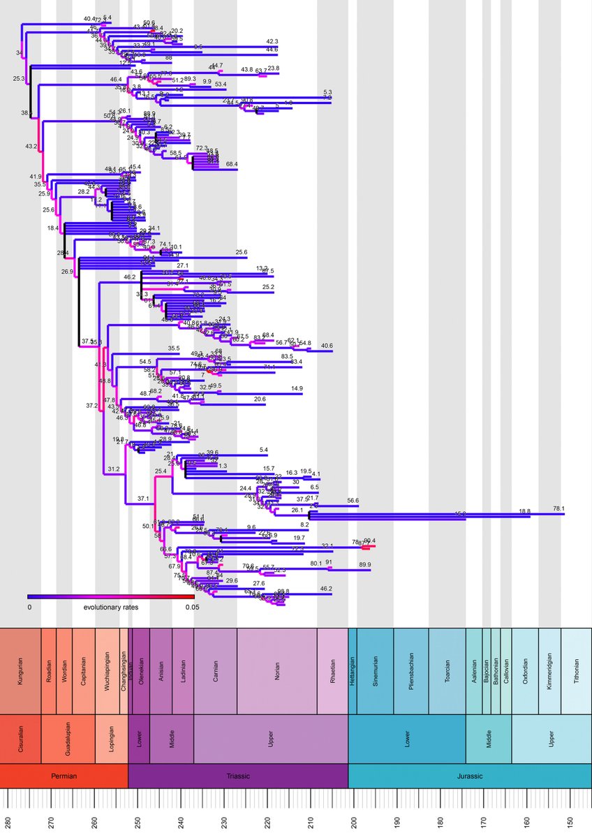 CladisticsAlert's tweet image. ⚠️ #NewPaperAlert🖥️ 
𝐂𝐥𝐚𝐝𝐢𝐬𝐭𝐢𝐜 𝐞𝐬𝐭𝐢𝐦𝐚𝐭𝐞𝐬 𝐨𝐟 𝐞𝐯𝐨𝐥𝐮𝐭𝐢𝐨𝐧𝐚𝐫𝐲 𝐫𝐚𝐭𝐞𝐬 𝐟𝐨𝐜𝐮𝐬𝐞𝐝 𝐨𝐧 𝐩𝐚𝐥𝐚𝐞𝐨𝐧𝐭𝐨𝐥𝐨𝐠𝐢𝐜𝐚𝐥 𝐝𝐚𝐭𝐚𝐬𝐞𝐭𝐬 𝐮𝐬𝐢𝐧𝐠 𝐓𝐍𝐓
By Pol &amp;amp; Ezcurra
shorturl.at/MkDCd

#Fossils #EvolutionaryRates #Morphology #Parsimony