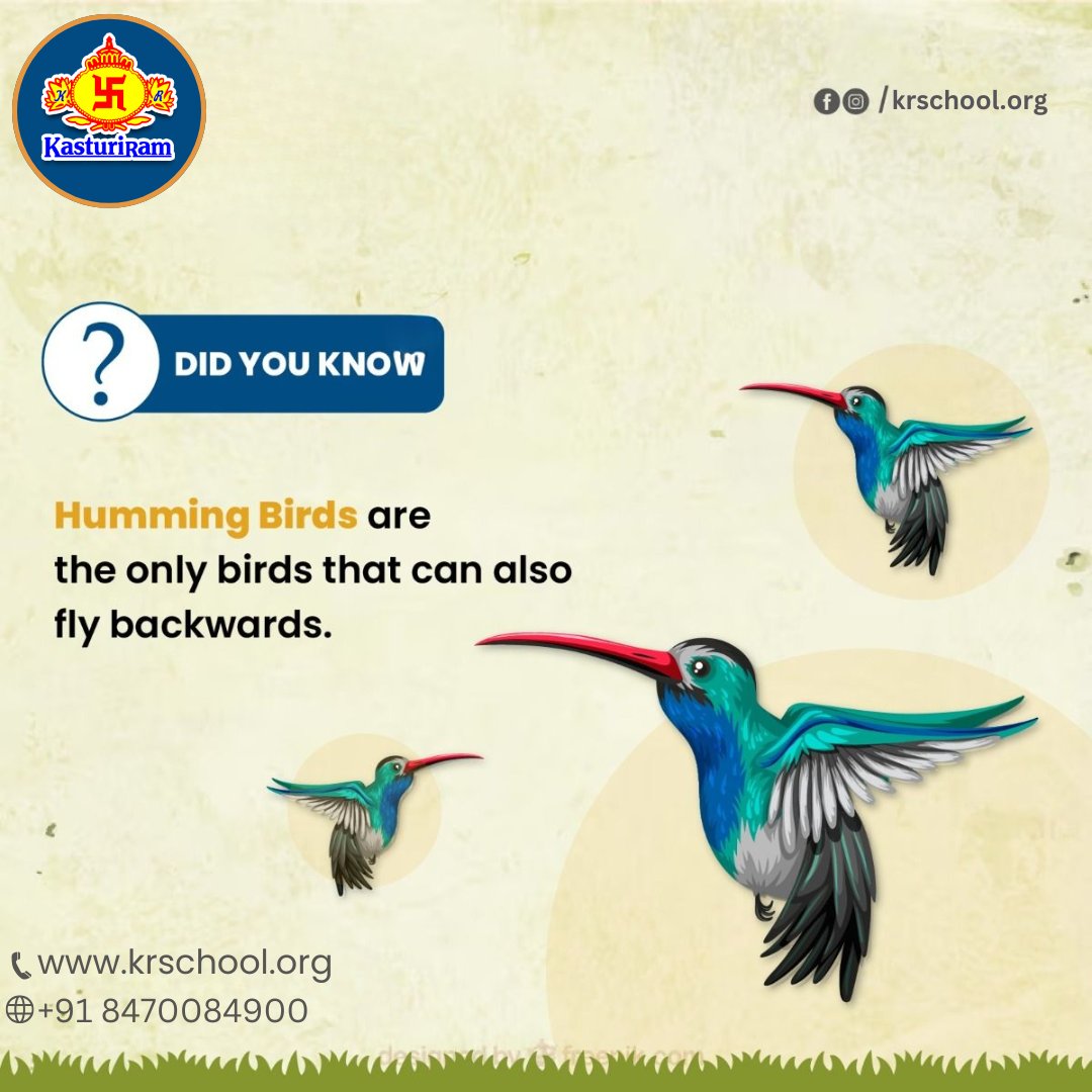 SchoolKasturi's tweet photo. DID YOU KNOW #KRIS #NARELA #KASTURIRAMINTERNATIONAL #WESTDELHI https://t.co/iEp5r5OdNh