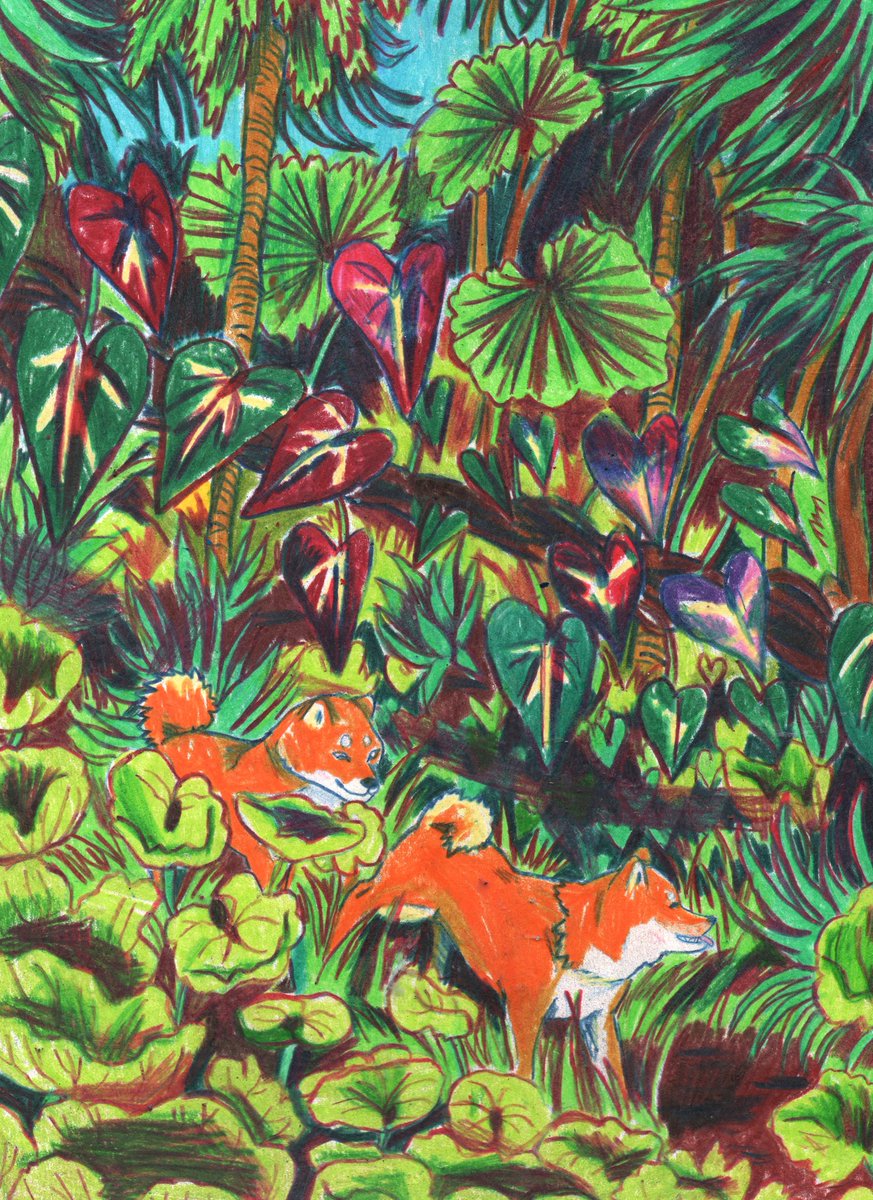 Hannah Lock tweet media