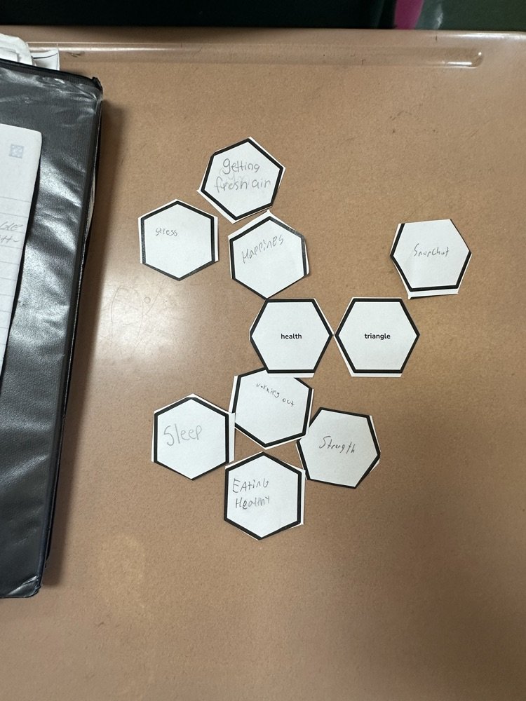 Students in Ms. Baldwin's High School Health classes are learning how to make connections with the Health Triangle by using a method of Hexagonal Web Thinking!