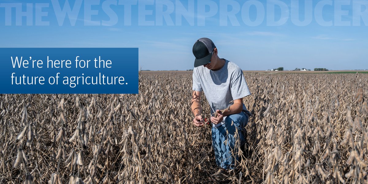 Sask Outstanding Young Farmers (@saskoyf) on Twitter photo The future of farming is in good hands! <a href="/westernproducer/">The Western Producer</a> proudly sponsors #SaskOYF, recognizing the next generation of innovators, leaders, & stewards of the land. Supporting young farmers means investing in the future of Canadian ag—something they'll always stand behind. #cdnag The future of farming is in good hands! <a href="/westernproducer/">The Western Producer</a> proudly sponsors #SaskOYF, recognizing the next generation of innovators, leaders, & stewards of the land. Supporting young farmers means investing in the future of Canadian ag—something they'll always stand behind. #cdnag