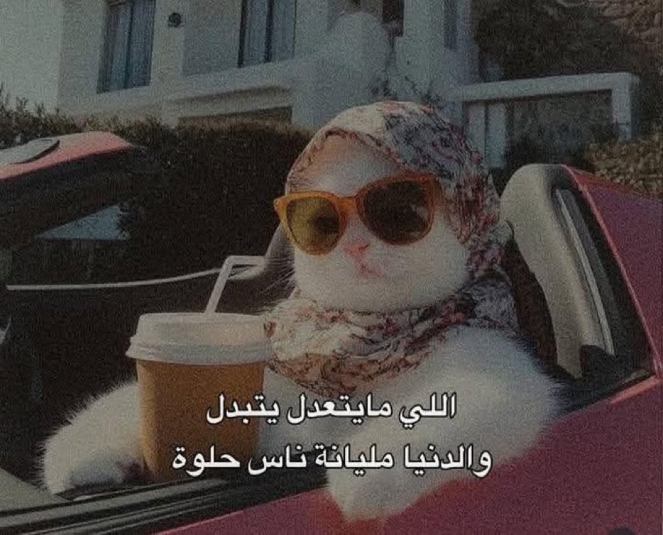 كل يوم صورة معبرة (@memesoficiial) on Twitter photo 