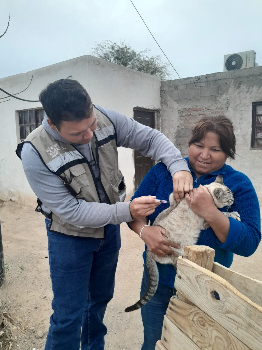 ssaludsonora's tweet photo. Hoy lunes, personal de operación territorial del Sistema Nacional de Salud Pública realiza visitas domiciliarias para aplicación de vacuna antirrábica canina y felina en la colonia Ampliación Santa Cecilia de Caborca.

#SaludSonora #DistritodeSalud02 https://t.co/8TNdzBDXHV