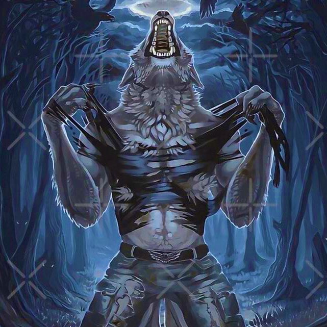 vic 🐽 tweet media