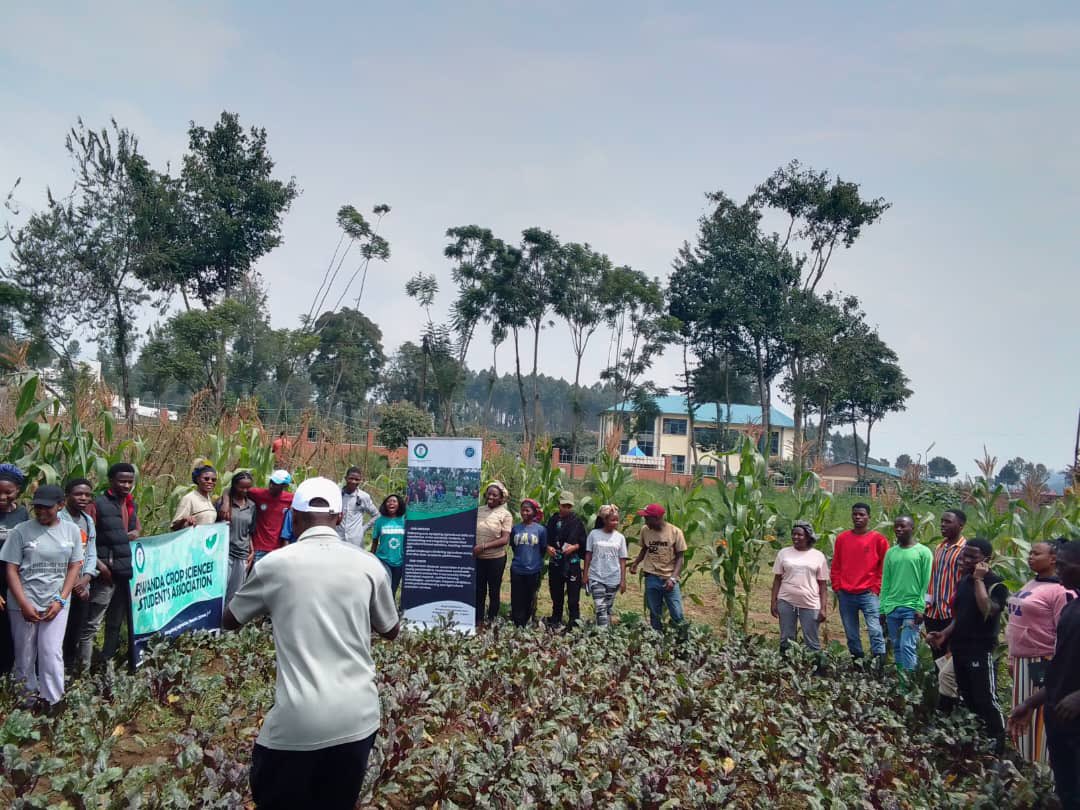 RCSSAgriTalk's tweet image. The @RwandaCSSA  in revolution of #WeForChange in unlocking bottlenecks met by young people in agriculture.

Integrated traditional farming techniques with modern farming methods for sustainable agriculture.

#Repost #RCSSA @AgriPeak @EU_Partnerships @ryaf_agribiz @RwandaAgri