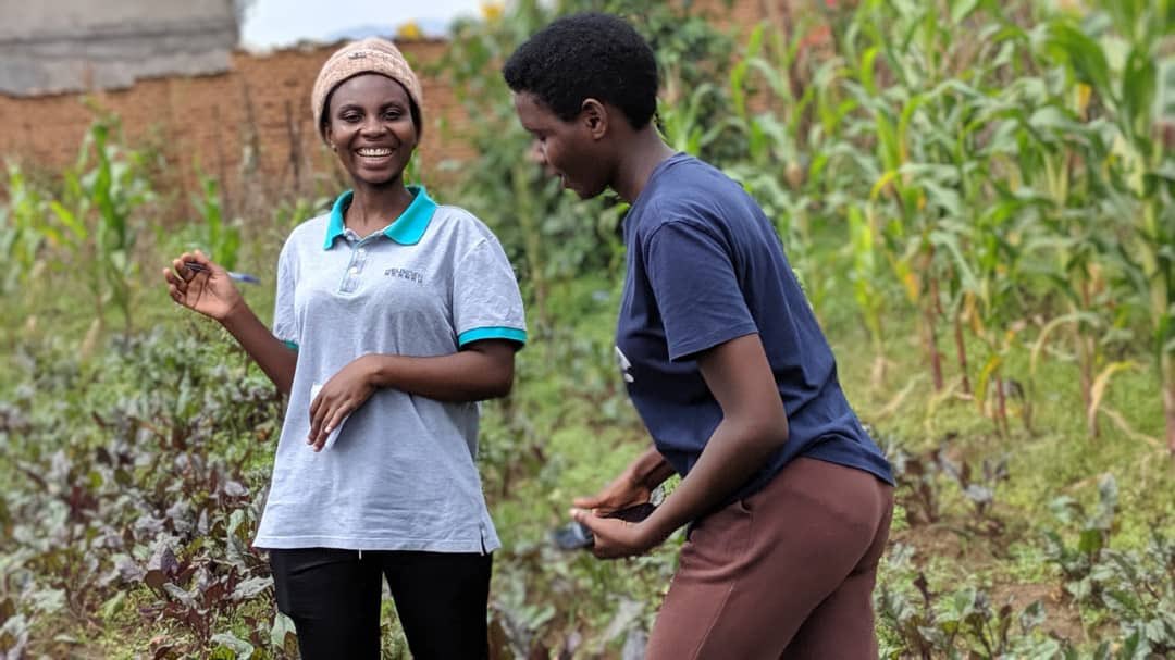 RCSSAgriTalk's tweet image. The @RwandaCSSA  in revolution of #WeForChange in unlocking bottlenecks met by young people in agriculture.

Integrated traditional farming techniques with modern farming methods for sustainable agriculture.

#Repost #RCSSA @AgriPeak @EU_Partnerships @ryaf_agribiz @RwandaAgri