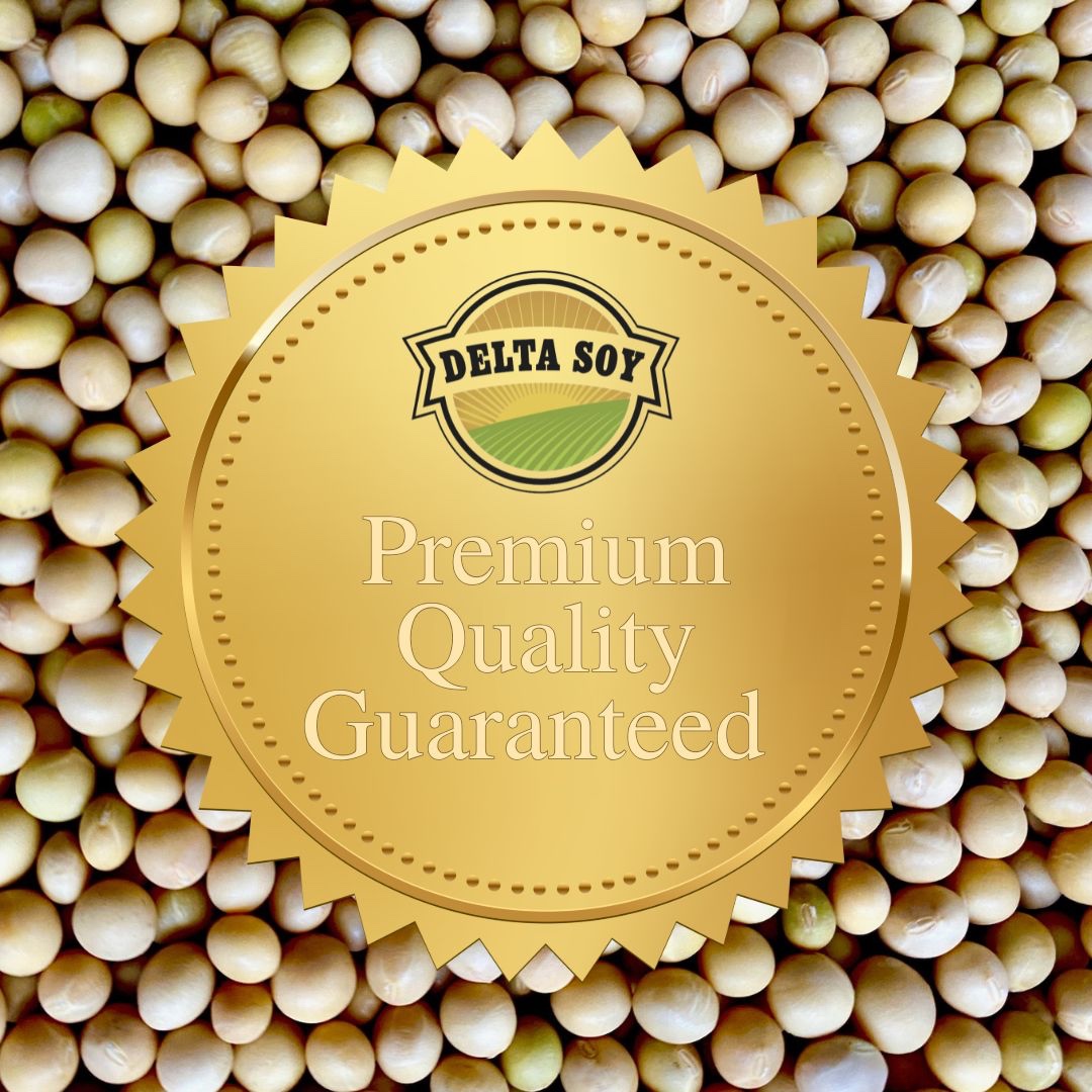DeltaSoy's tweet image. Delta Soy is committed to delivering high-quality soybeans that meet premium standards. When you grow with us, you grow with reliability and excellence. 🌱

#DeltaSoy #SoybeanQuality #PremiumSoybeans