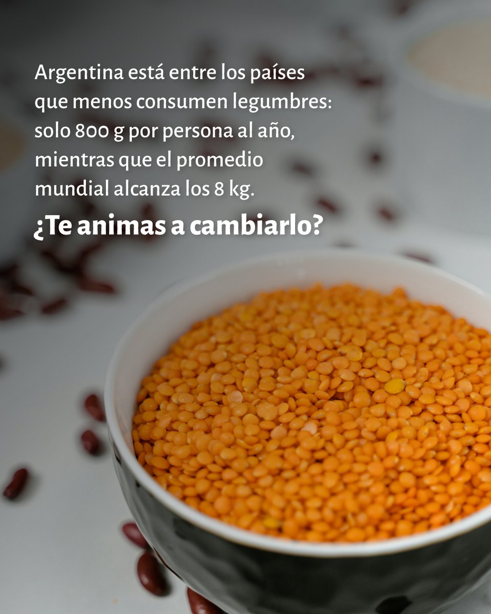 Banco de Alimentos Buenos Aires tweet media