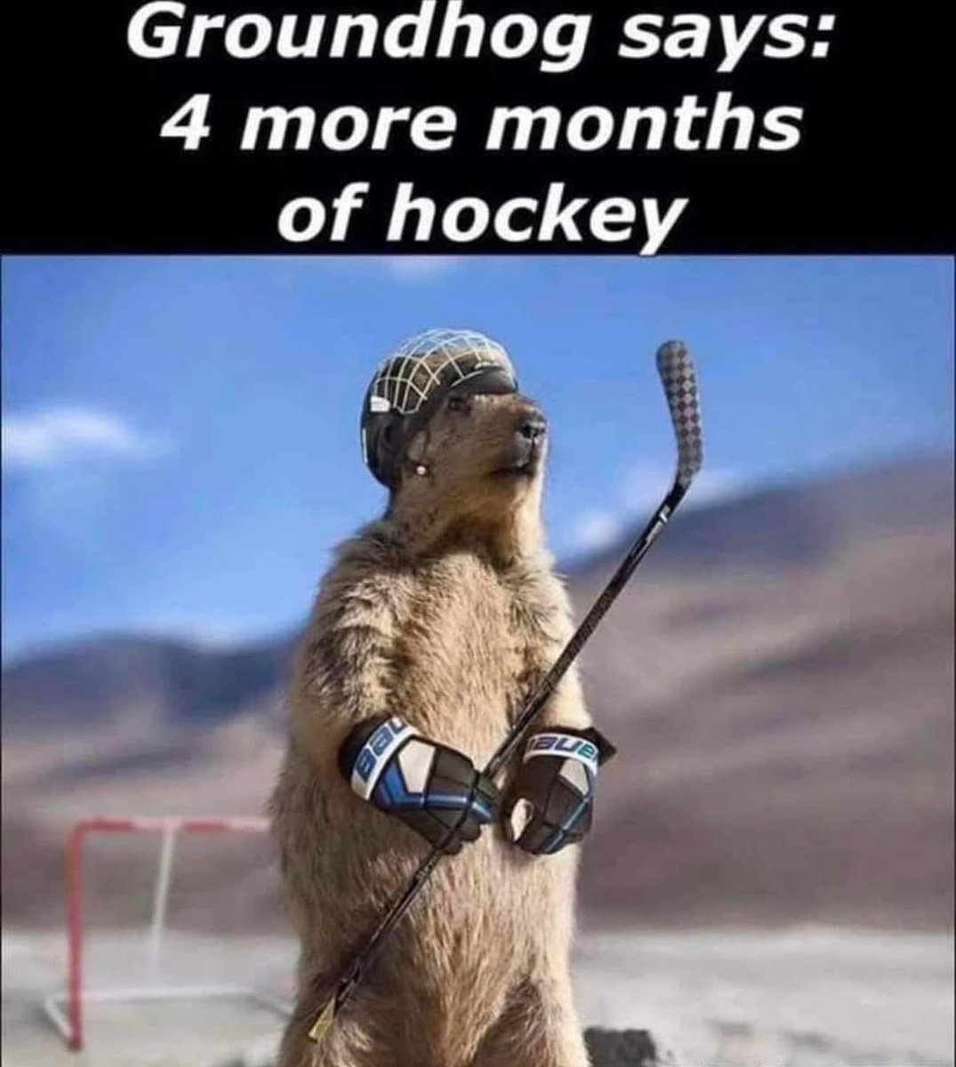 LisaMartinImage's tweet photo. Looking forward more months of hockey and a better championship celebration. #suckitnfl https://t.co/iPNvXf0G5k