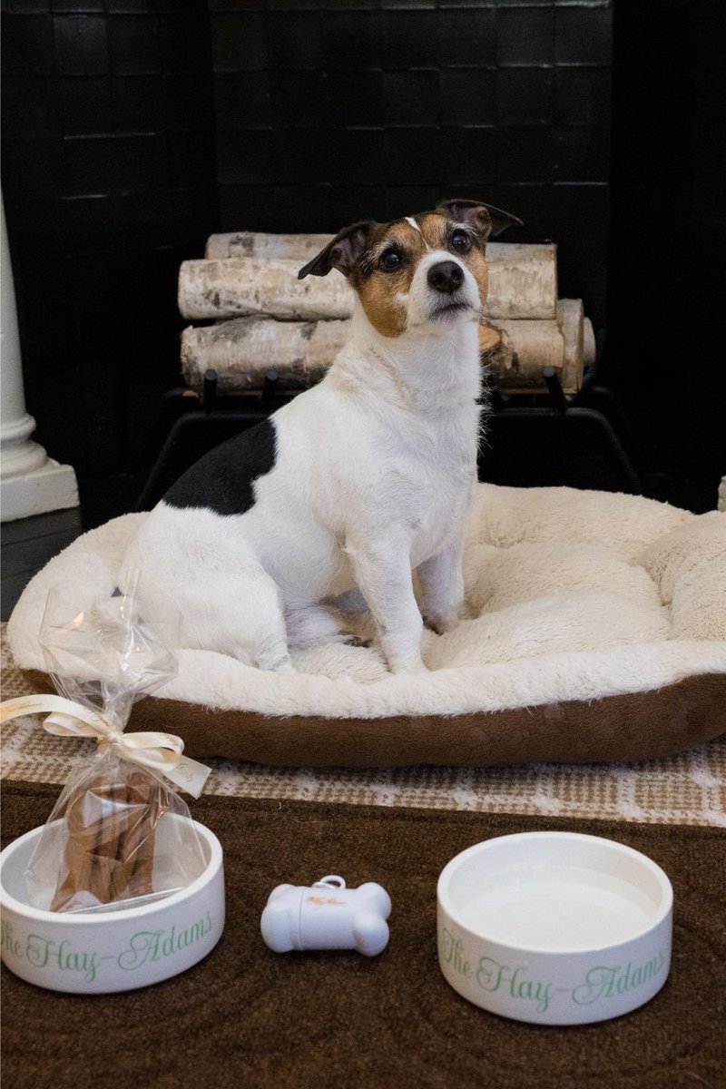 The Hay-Adams tweet media