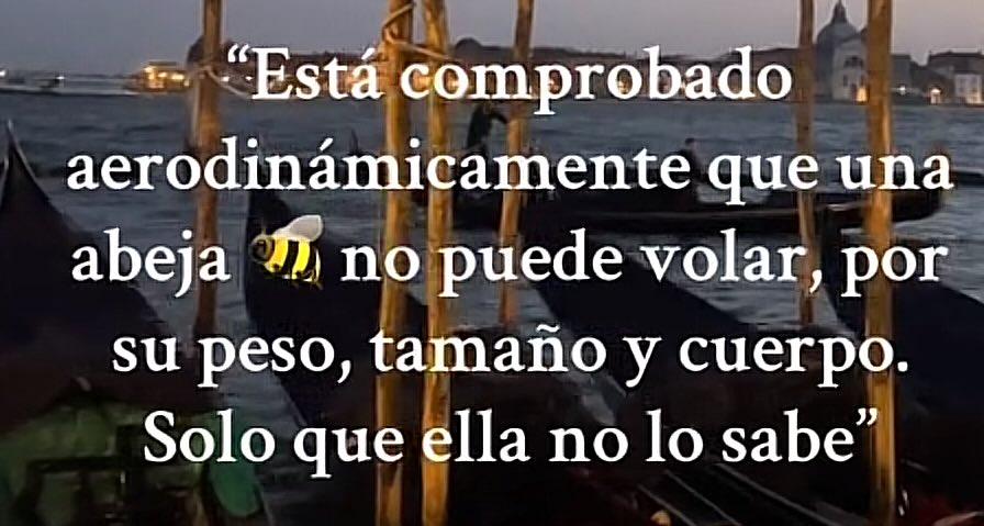 Las abejas…