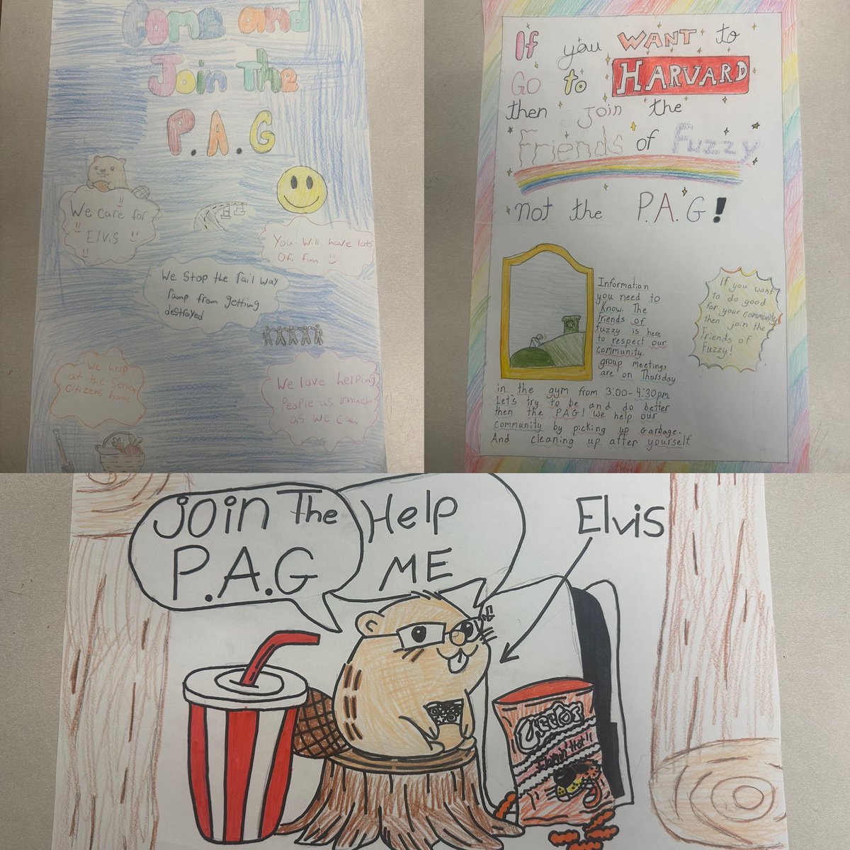 _mmedrake's tweet photo. As part of our novel study on Slacker, we made posters from the perspective of students living in Sycamore to join (or not join) the PAG… what do you think @gordonkorman - do we have any future Paggers?? @RmsMiddle 🦫🎮 https://t.co/CuG4zn4rDS