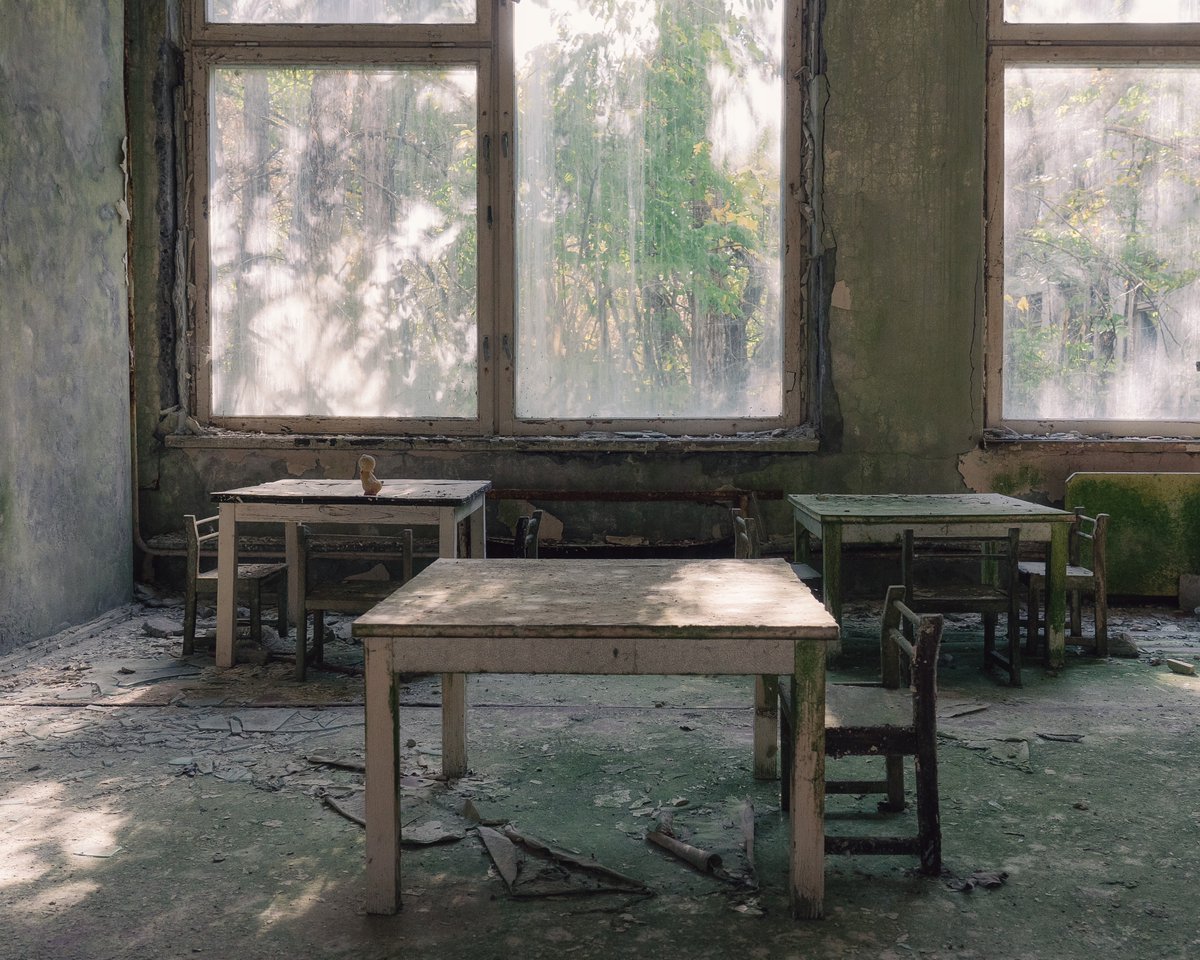 TapirOne tweet media