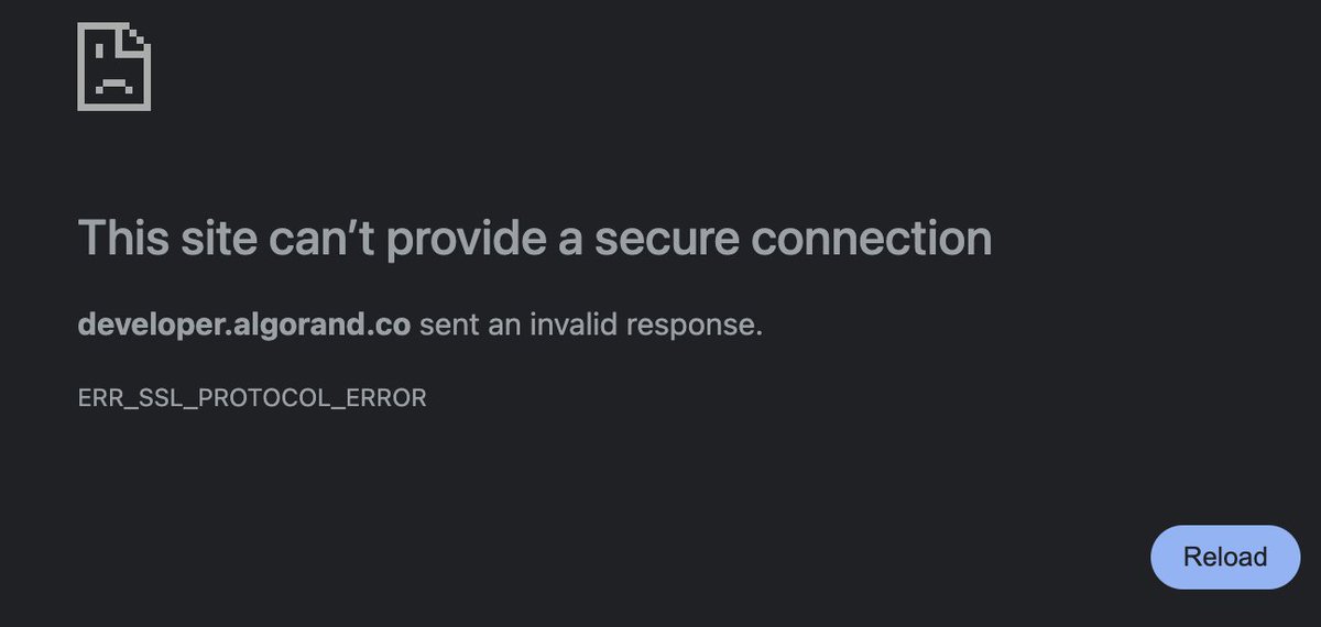 brianmt.algo tweet media