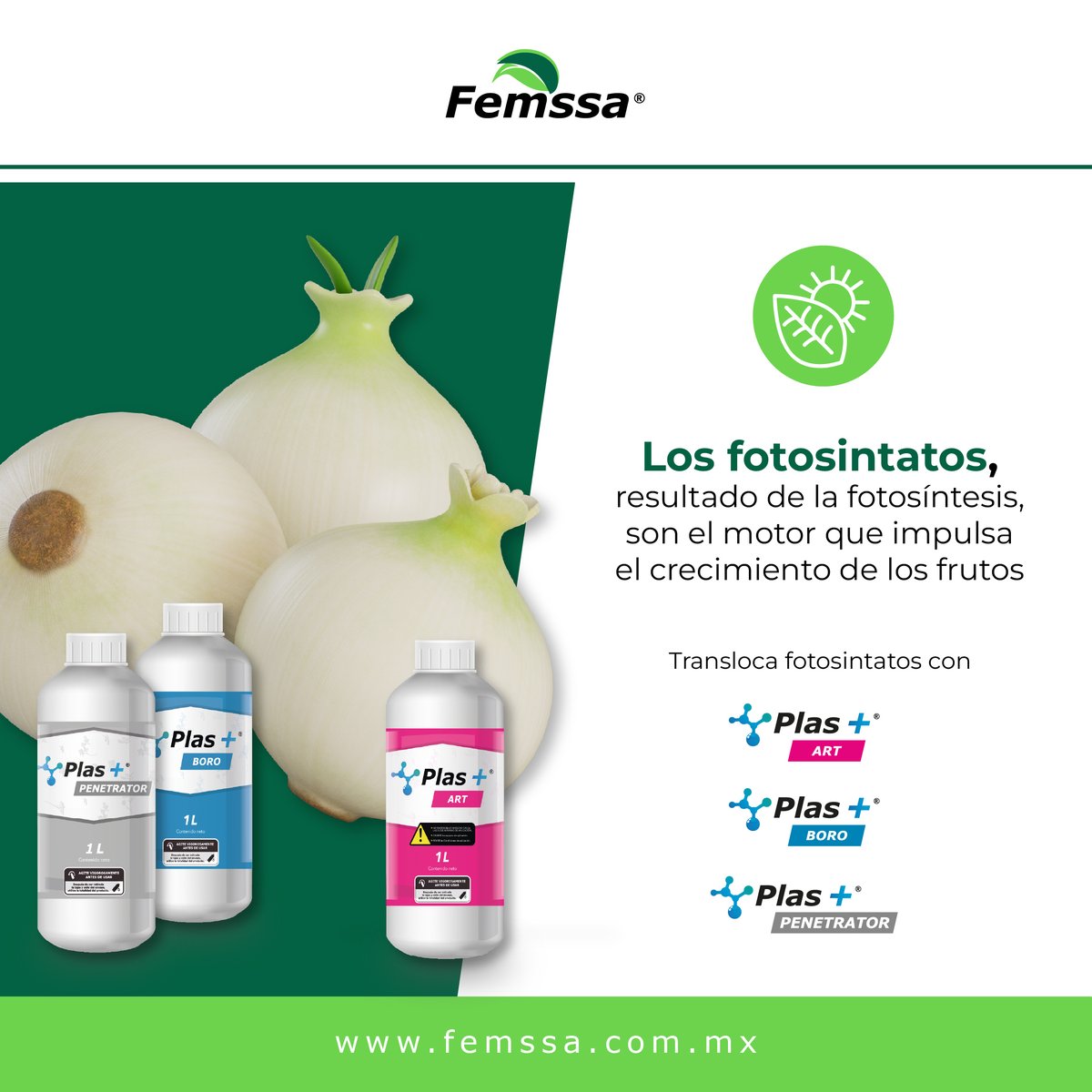 ¿Sabías que el tamaño y calidad de los frutos dependen directamente de la energía que las plantas producen? 😲

.
.
.

#sabiasque #femssa #calidad #cultivos #frutos #mexico #bioestimulantes #energia