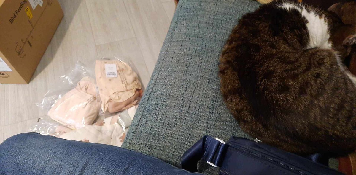 Victoria tweet media