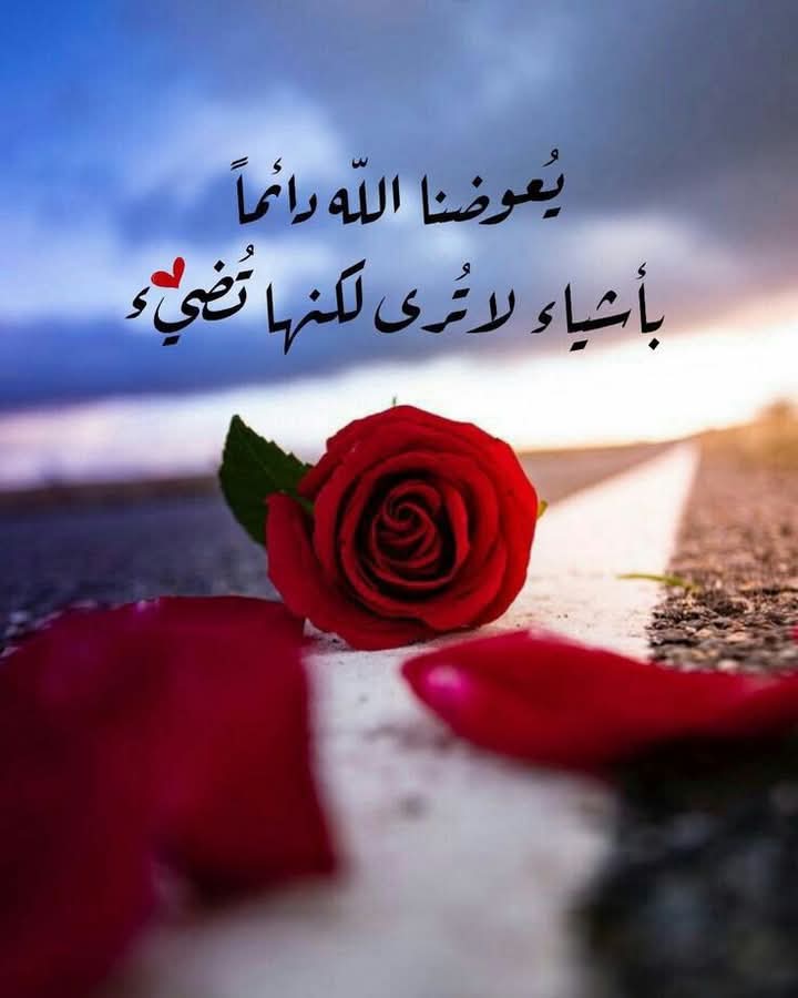 Melody (@langugsilent94) on Twitter photo 