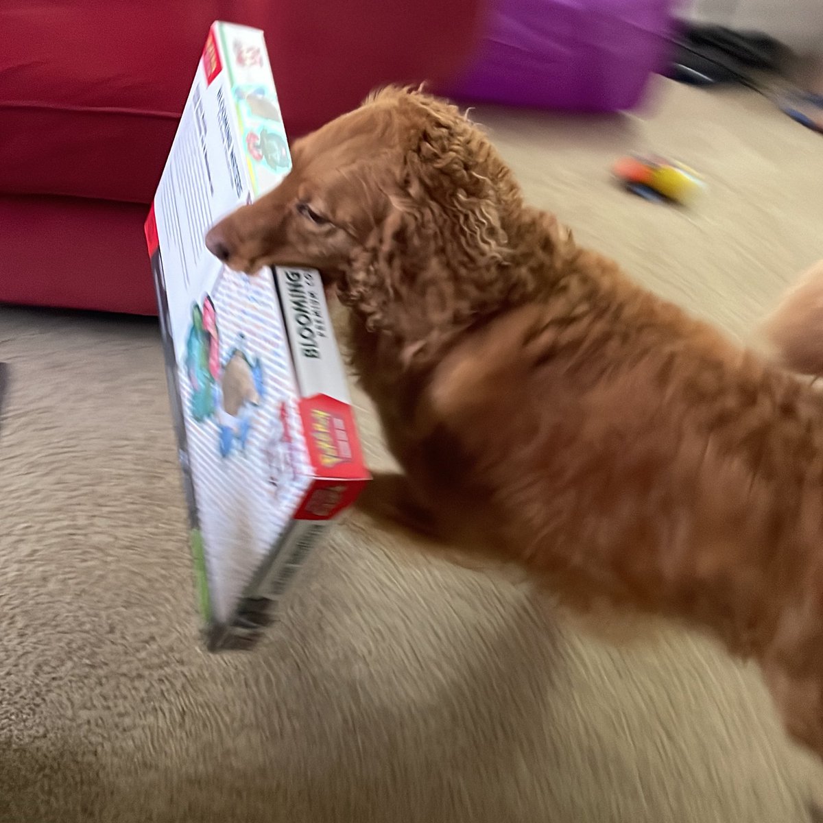 YALL I HAD THIS BLOOMING WATERS BOX IN MY CART AND THIS BITCH JUST CAME OUT OF NOWHERE AND STOLE IT I HATE SCALPERS