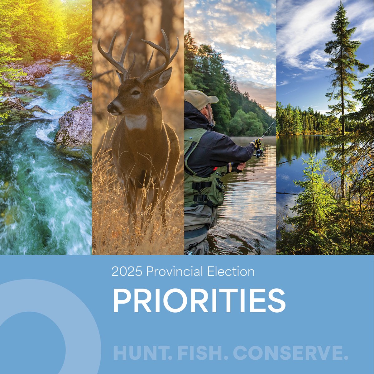 The next Ontario election is taking place on February 27, and the OFAH wants anglers and hunters to know exactly where each party stands on the issues that matter to them. ⁠