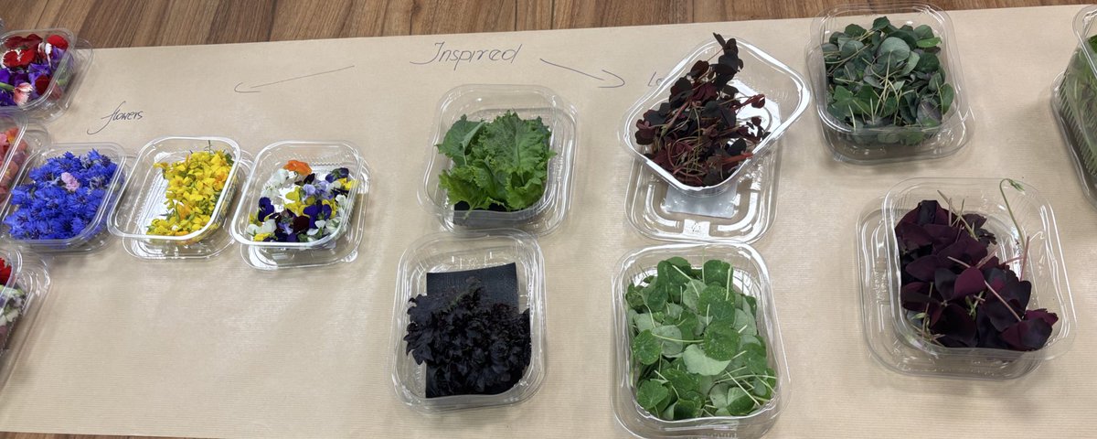 AGS_FT's tweet photo. Y12s enjoyed a wonderful tour of @WestlandsUK British growers of micro herbs and edible flowers. We were invited to tour their production greenhouses and to try their incredible range of sustainably grown produce. An incredibly valuable learning experience. https://t.co/5Fn7CR0SsE