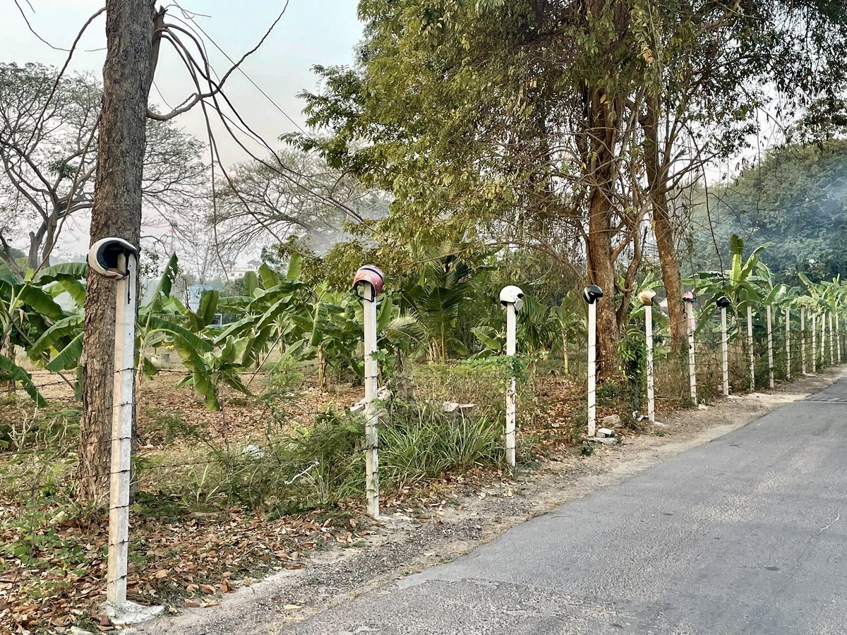JusssTony's tweet image. Morning walk, seems to be fairly uneventful. 

Heads on poles - harking back to the middle age 

Somebody in the village must be legless 

Street art or just mops

#StreetStuff 
#RandomPics