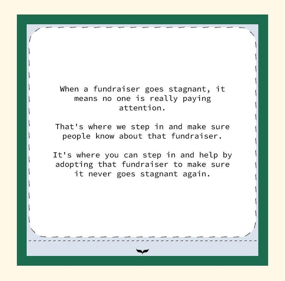 🌍 URGENT: Displaced families in Gaza need YOUR help. As winter brings freezing temps &amp; heavy rain, thousands are fundraising for tents, blankets, and supplies. Others seek urgent funds to evacuate to Egypt—their homes destroyed with no prospects.

💙It has been my deepest