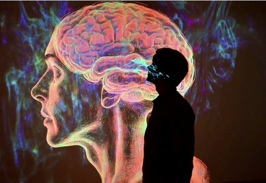 Eveline Ruehlin (@enilev) on Twitter photo 🧠 How the Brain Detects Novelty to #Predict the #Future
<a href="/NeuroscienceNew/">Neuroscience News</a> <a href="/Columbia/">Columbia University</a>
#Neuroscience #cerebralcortex #Neurons
👉neurosciencenews.com/novelty-predic…
<a href="/Khulood_Almani/">Dr. Khulood Almani | د.خلود المانع</a> <a href="/JimHarris/">Jim Harris</a> <a href="/IanLJones98/">Ian Jones</a> <a href="/mvollmer1/">Dr. Marcell Vollmer 🇺🇦 #StaySafe #CES2025</a> <a href="/jblefevre60/">Jean-Baptiste Lefevre</a> <a href="/pierrepinna/">Pinna Pierre</a> <a href="/CurieuxExplorer/">Dev Khanna</a> <a href="/Shi4Tech/">💙 #TechForGood 💙</a> <a href="/BetaMoroney/">Tony Moroney</a> 🧠 How the Brain Detects Novelty to #Predict the #Future
<a href="/NeuroscienceNew/">Neuroscience News</a> <a href="/Columbia/">Columbia University</a>
#Neuroscience #cerebralcortex #Neurons
👉neurosciencenews.com/novelty-predic…
<a href="/Khulood_Almani/">Dr. Khulood Almani | د.خلود المانع</a> <a href="/JimHarris/">Jim Harris</a> <a href="/IanLJones98/">Ian Jones</a> <a href="/mvollmer1/">Dr. Marcell Vollmer 🇺🇦 #StaySafe #CES2025</a> <a href="/jblefevre60/">Jean-Baptiste Lefevre</a> <a href="/pierrepinna/">Pinna Pierre</a> <a href="/CurieuxExplorer/">Dev Khanna</a> <a href="/Shi4Tech/">💙 #TechForGood 💙</a> <a href="/BetaMoroney/">Tony Moroney</a>