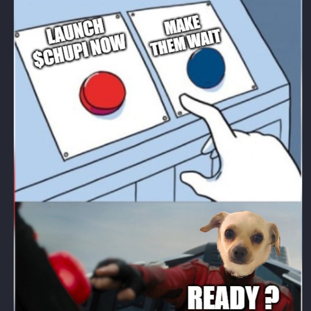 ChupiCoinSOL's tweet photo. The hardest decision right now… 👀🐶💥
#CHUPI #Solana #Memecoin $Chupi https://t.co/DLrGJ98Uz0