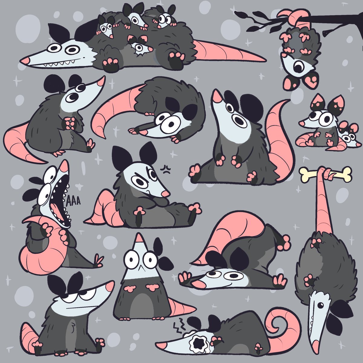 Happyraccoons's tweet photo. Opossum posing https://t.co/PJEJdQATeL
