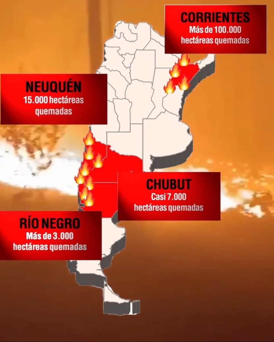 IreneWais's tweet photo. ¿No te parece demasiada "casualidad" que justamente los incendios en la Argentina estén en lugares en los cuales se sembró pino, una especie exótica que consume mucha agua del suelo y además produce resina inflamable? Sigue. https://t.co/idWVO5ic5M