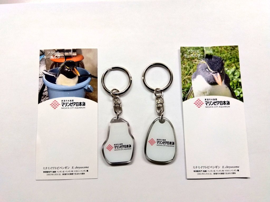 新発売!】 オリジナル ミナミイワトビペンギン アクリルキーホルダー