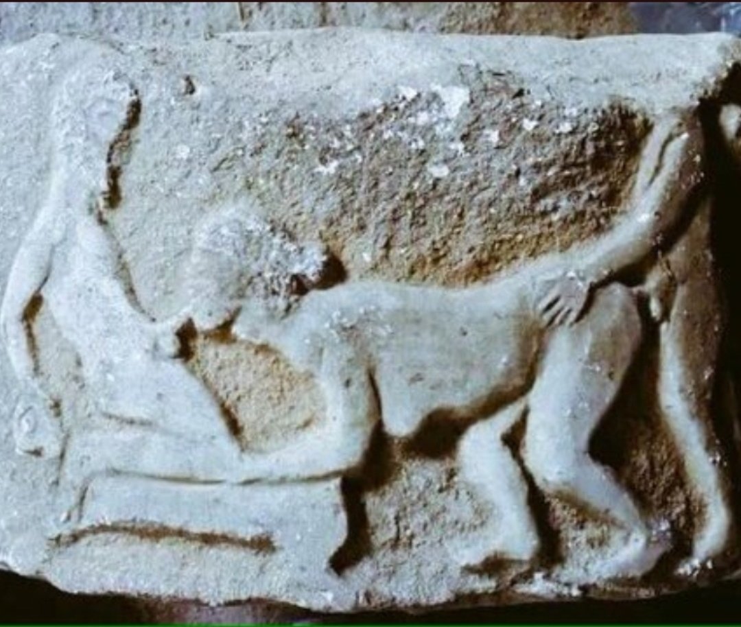 Tek erkek olarak Katılmak istiyorum Tek bayan dul çift fark etmez Amaç eylenmek Zevklerimizi tatmak