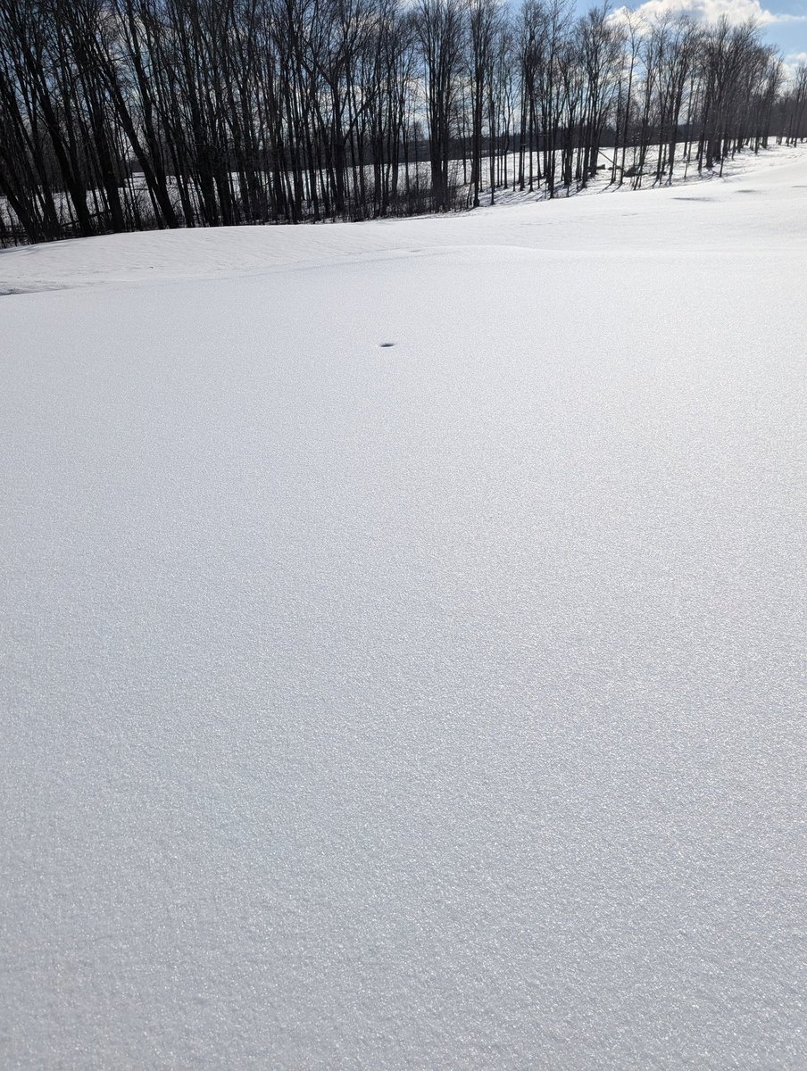 Sand Ridge Golf Club Grounds tweet media