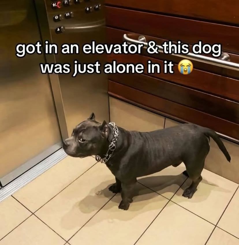 🕐HOURLY🕑 shitpost (@hourly_shitpost) on Twitter photo 