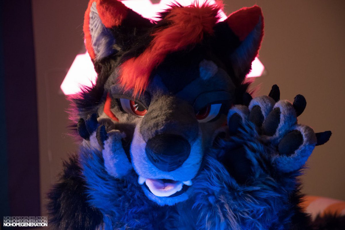 kazewolffy's tweet photo. @cat_with_bowl i’m gunna eat you back after https://t.co/DF4XmTTY2L