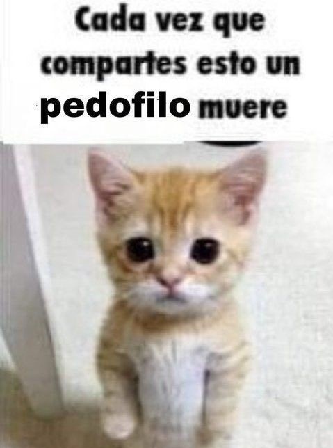 Qwerty_15n's tweet image. 