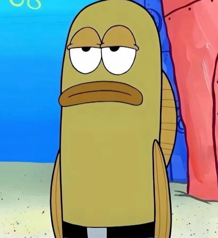 Apollo Xo tweet media