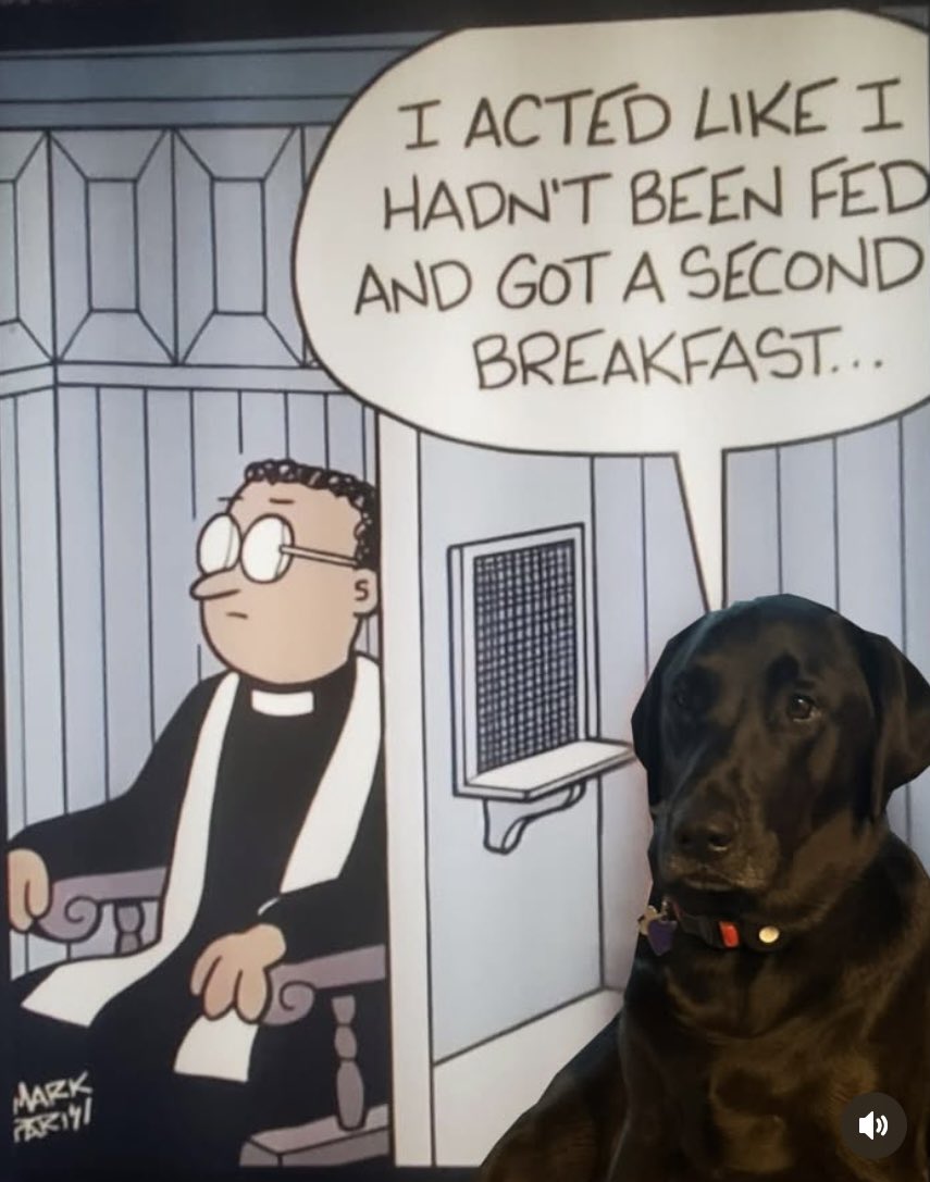 Just putting this right here.